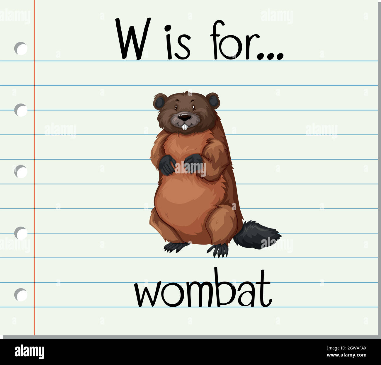 Flashcard letter w is for wombat stock vector image art alamy