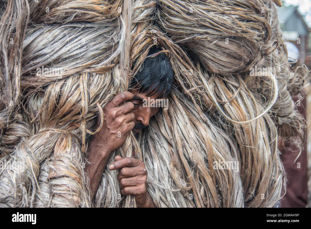 Jute like fibre hi-res stock photography and images - Alamy