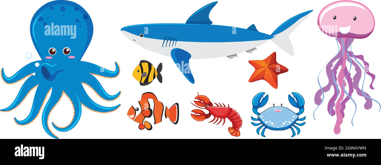 A Set of Sea Creatures Stock Vector