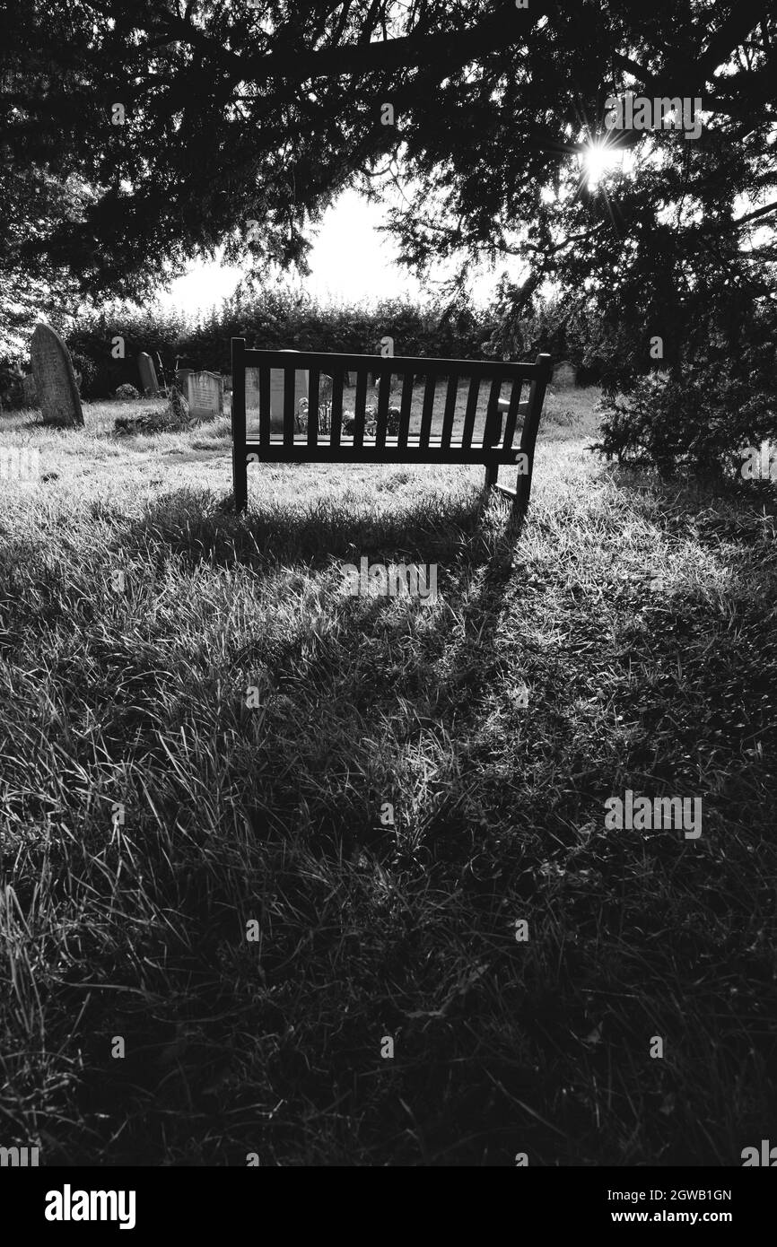 A bench under in the shade of an ancient yew tree, St Mary's parish church, Stelling Minnis, Kent, UK. Black and white photo Stock Photo