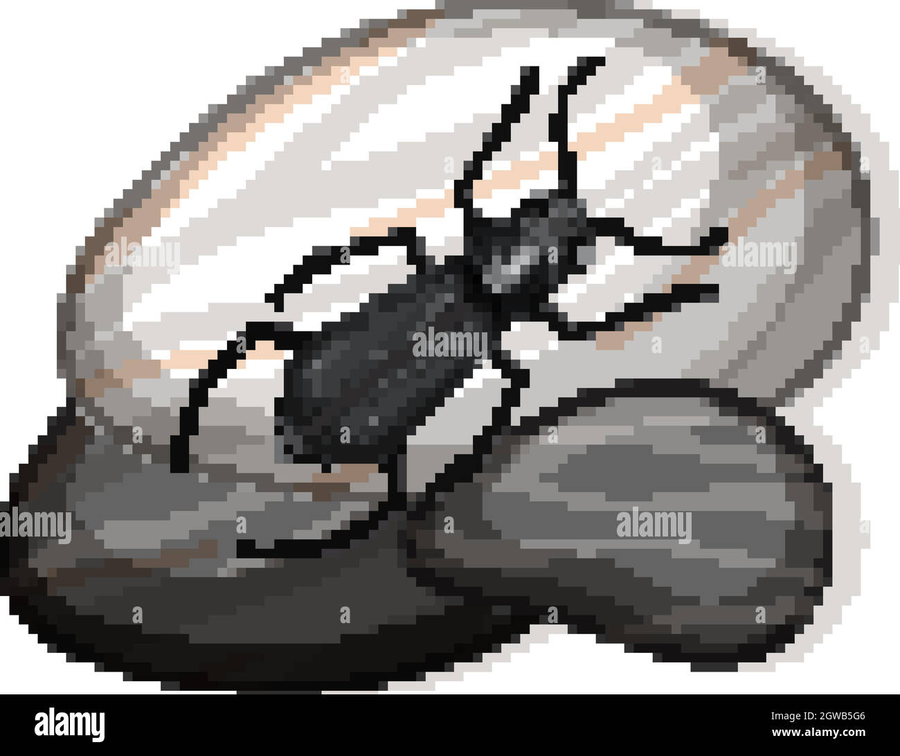 Top view of insect on a stone on white background Stock Vector Image ...