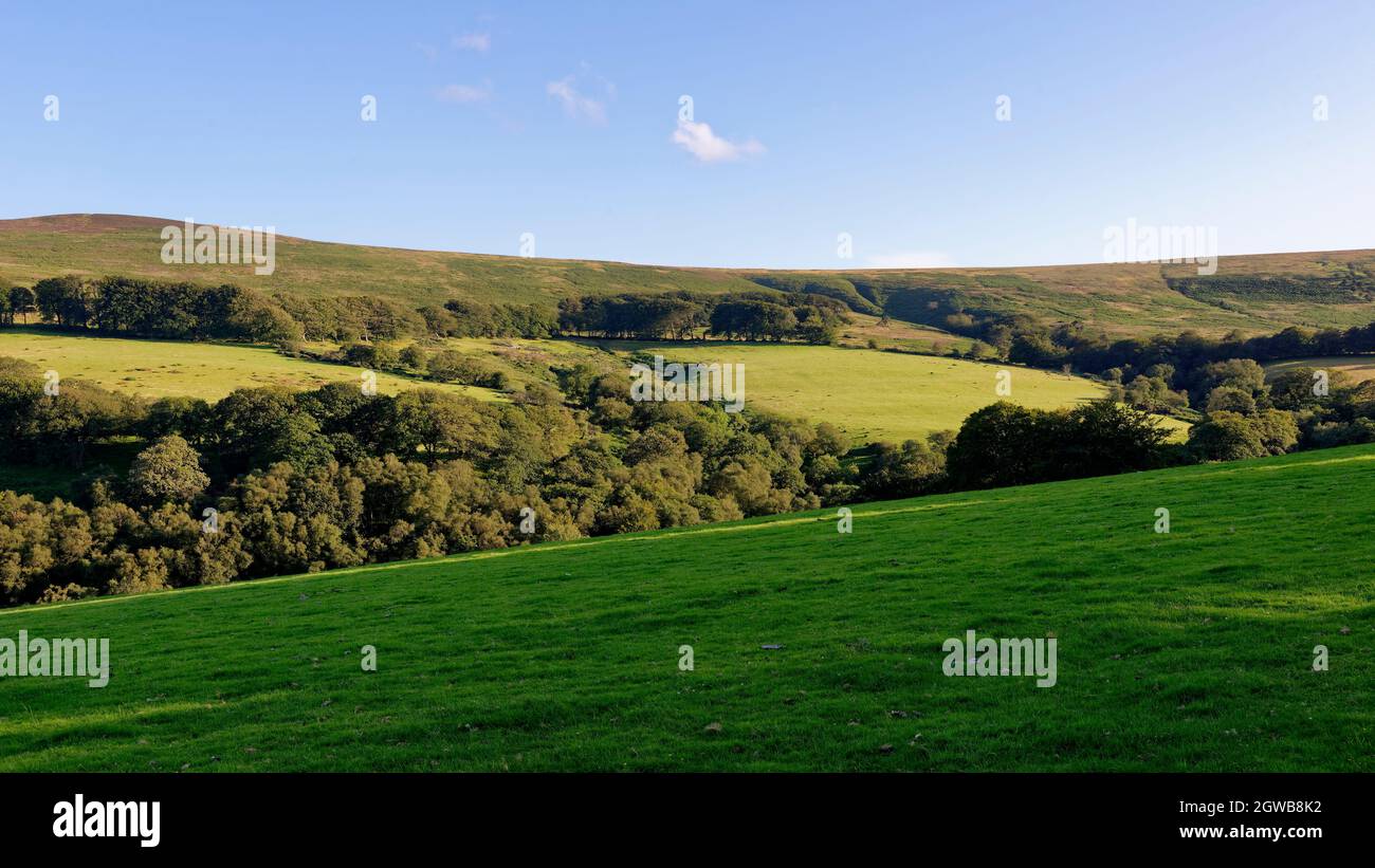 Dunkery Beacon left,  Sweetworthy Combe and Great Rowbarrow right. Exmoor, Somerset. UK Stock Photo