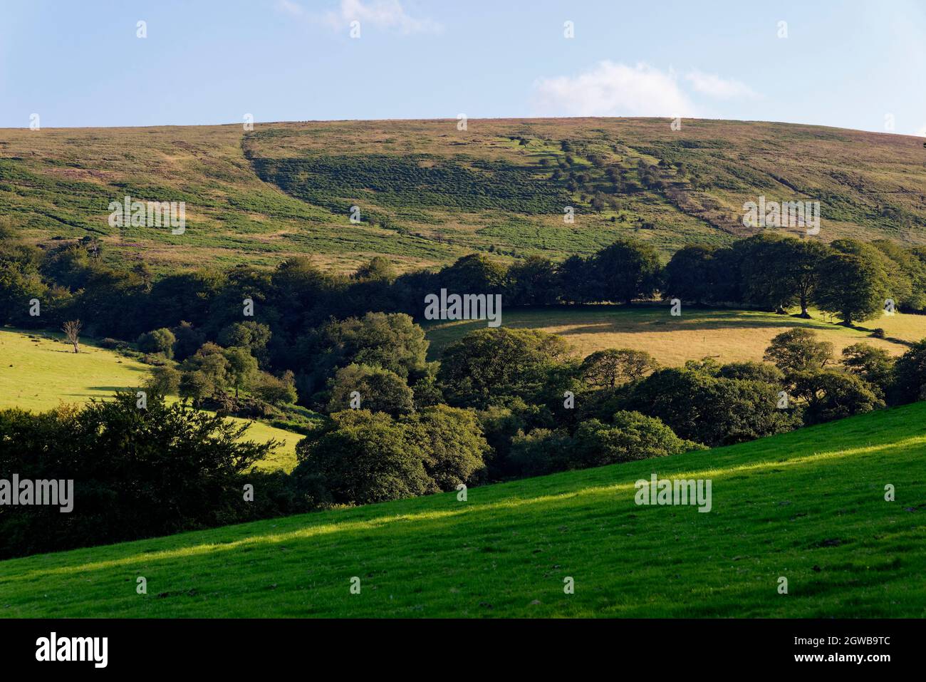 Bagley Combe & Great Rowbarrow, Exmoor, Somerset. UK Stock Photo