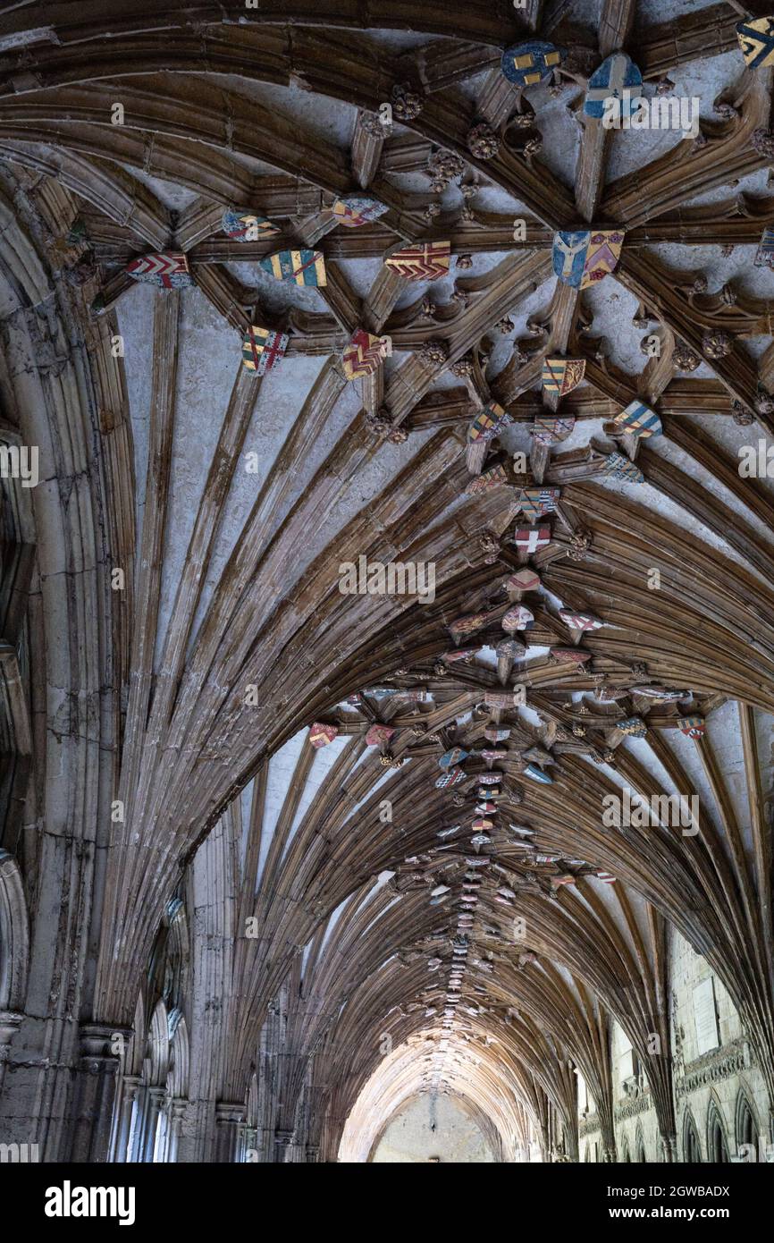 Ceiling shields hi-res stock photography and images - Alamy