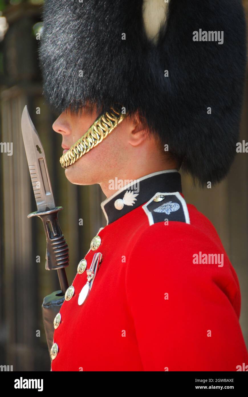 Guardsman in London Stock Photo