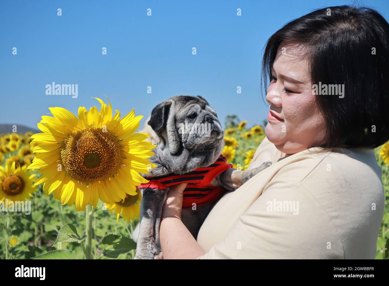 Woman Carrying Pug While Standing Amidst Plants Stock Photo