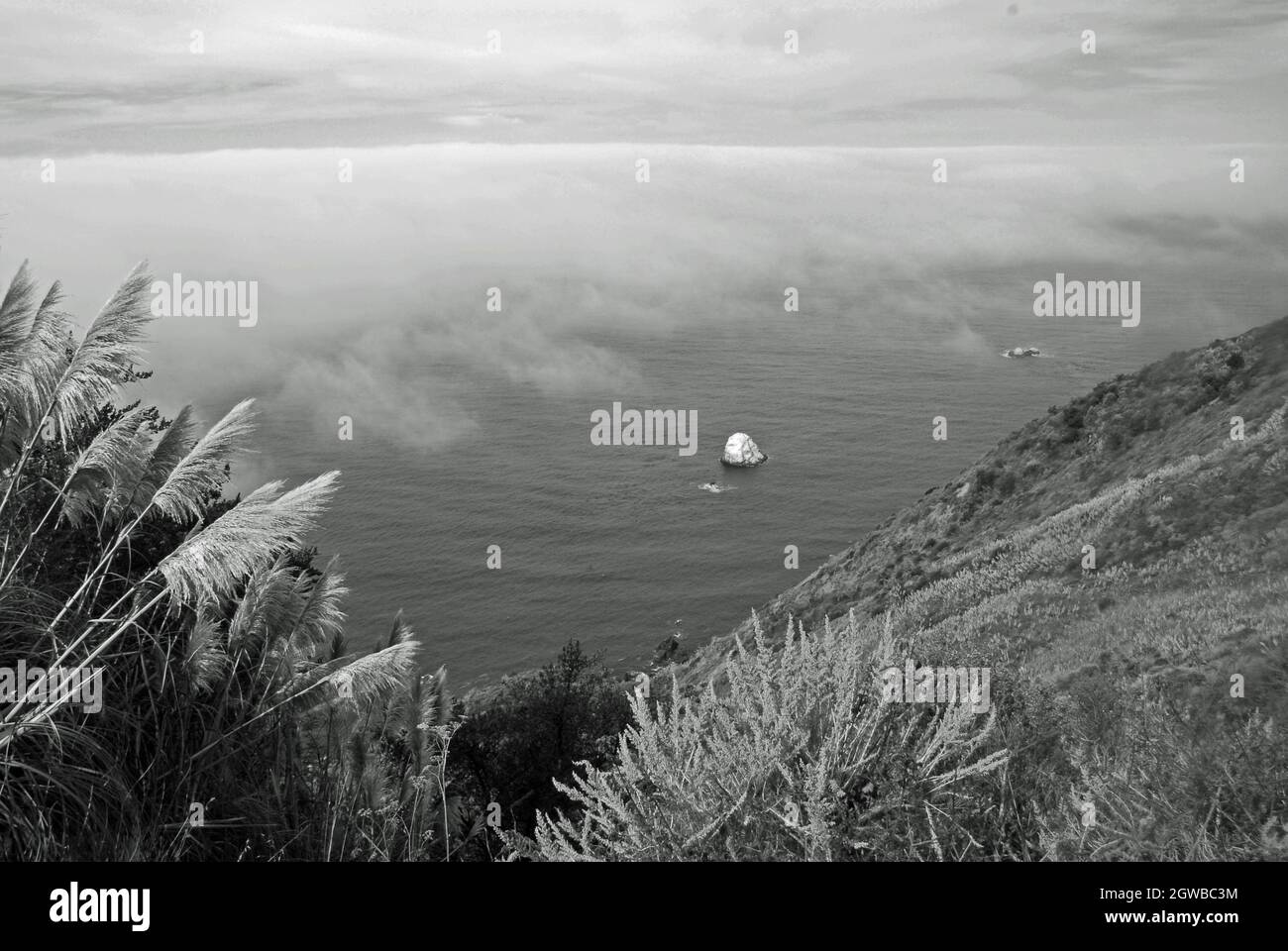 Misty Big Sur Coastline (monochrome) Stock Photo