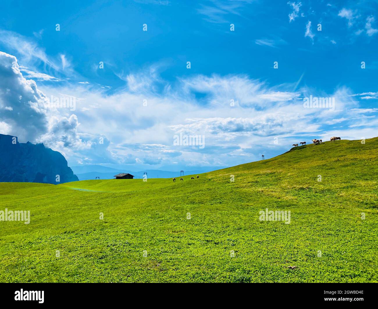 Alpe Di Siusi landscape là không gian tự nhiên tuyệt đẹp, được đánh giá là một trong những nơi du lịch tốt nhất thế giới. Sự giàu có hoang sơ tuyệt đẹp của nó sẽ làm cho người xem không khỏi ngất ngây và cảm thấy sự mãn nguyện. (Alpe Di Siusi landscape is a breathtaking natural space, rated as one of the best tourist destinations in the world. Its rich and pristine beauty will leave viewers in awe and a sense of satisfaction.)