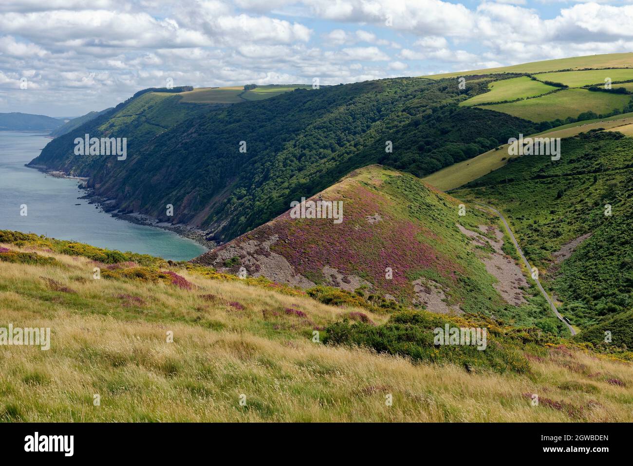 Coddow Combe and Countisbury Cove viewed from The Foreland, Exmoor Coast, Devon, UK Stock Photo