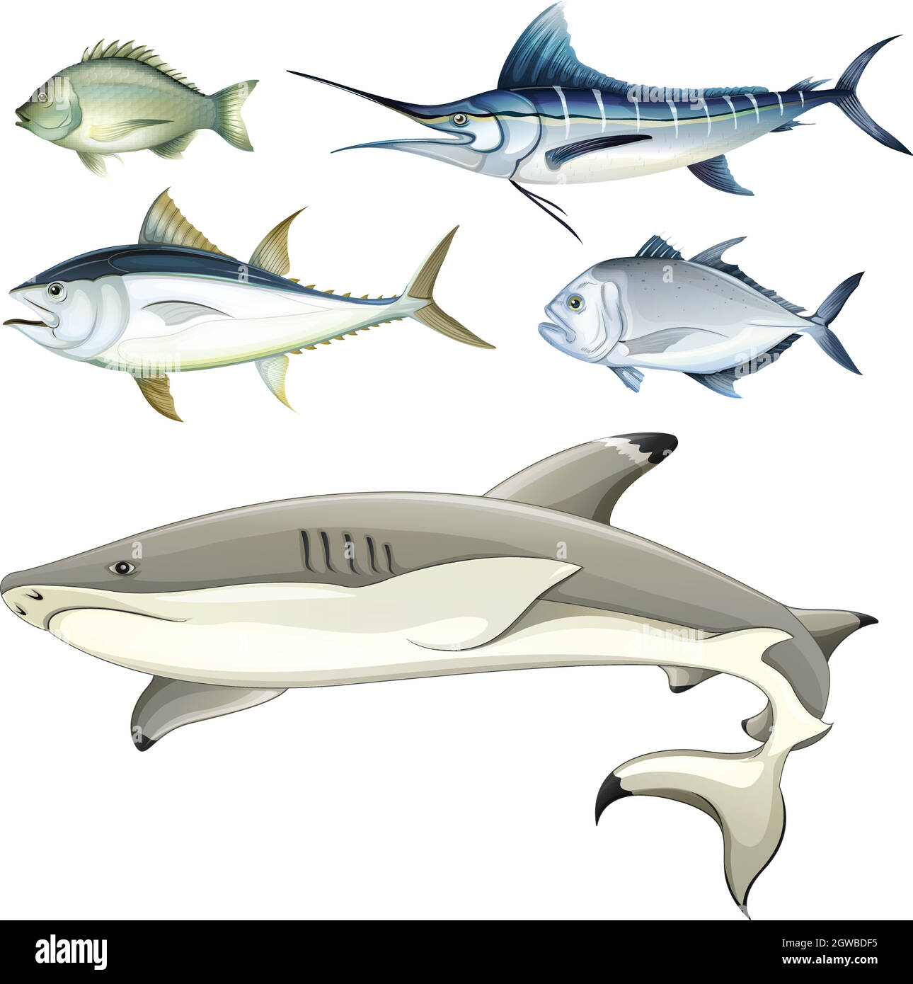 Fishes Stock Vector