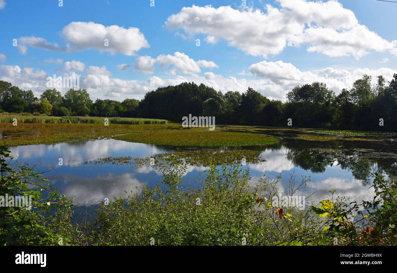 Paxton Pits Nature Reserve, Little Paxton, Cambridgeshire, UK Stock
