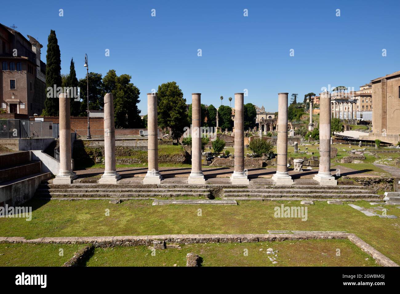 italy, rome, roman forum, foro della pace (forum of peace), columns of the temple of peace Stock Photo
