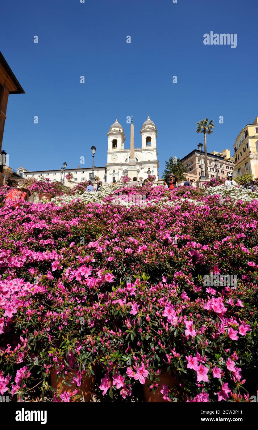 Spanish steps in flowers in rome hires stock photography and images