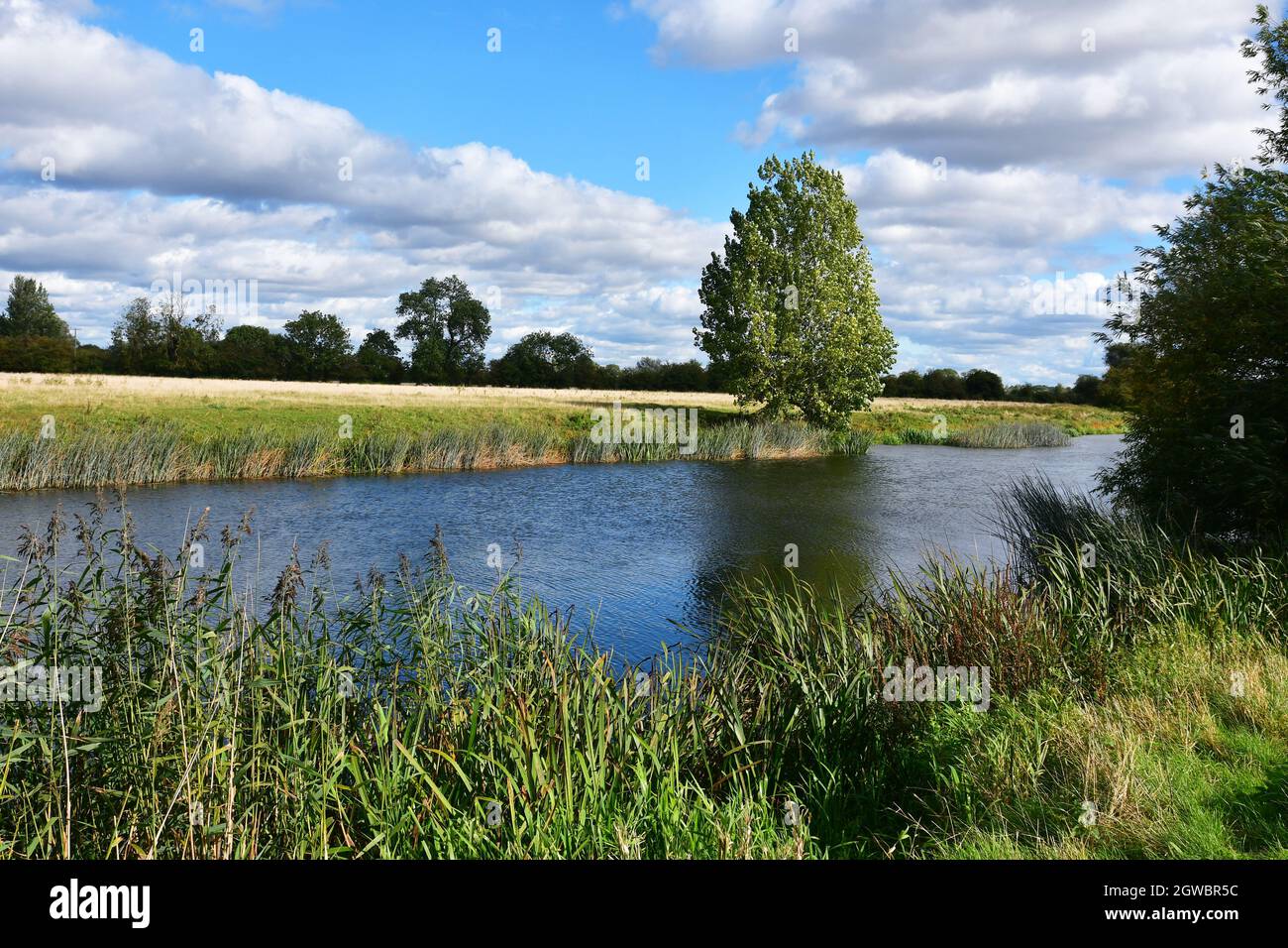 RSPB Fen Drayton, Cambridgeshire, UK Stock Photo Alamy