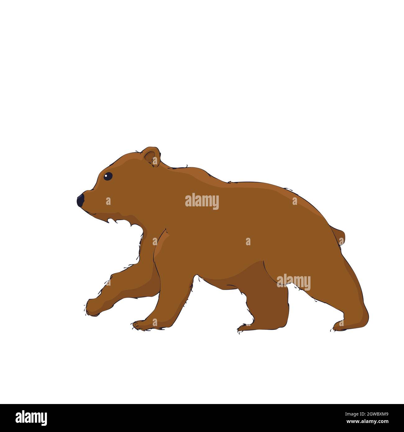 Cute little bear cub vector cartoon over white background Stock Vector