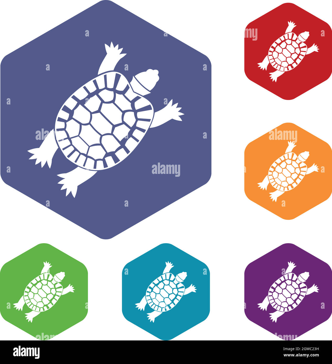 Turtle icons set Stock Vector Image & Art - Alamy
