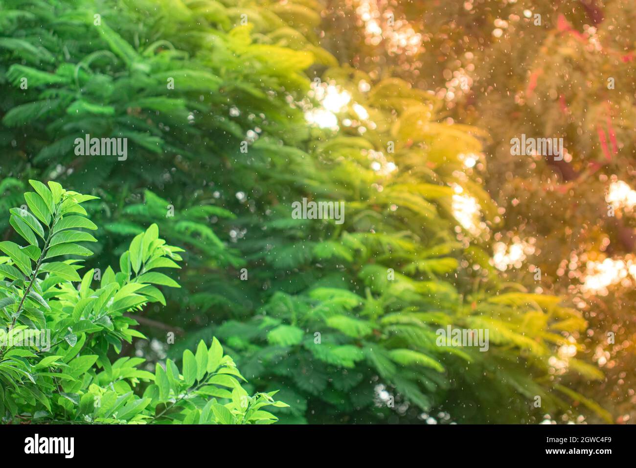 Sense Of Falling High Resolution Stock Photography and Images - Alamy