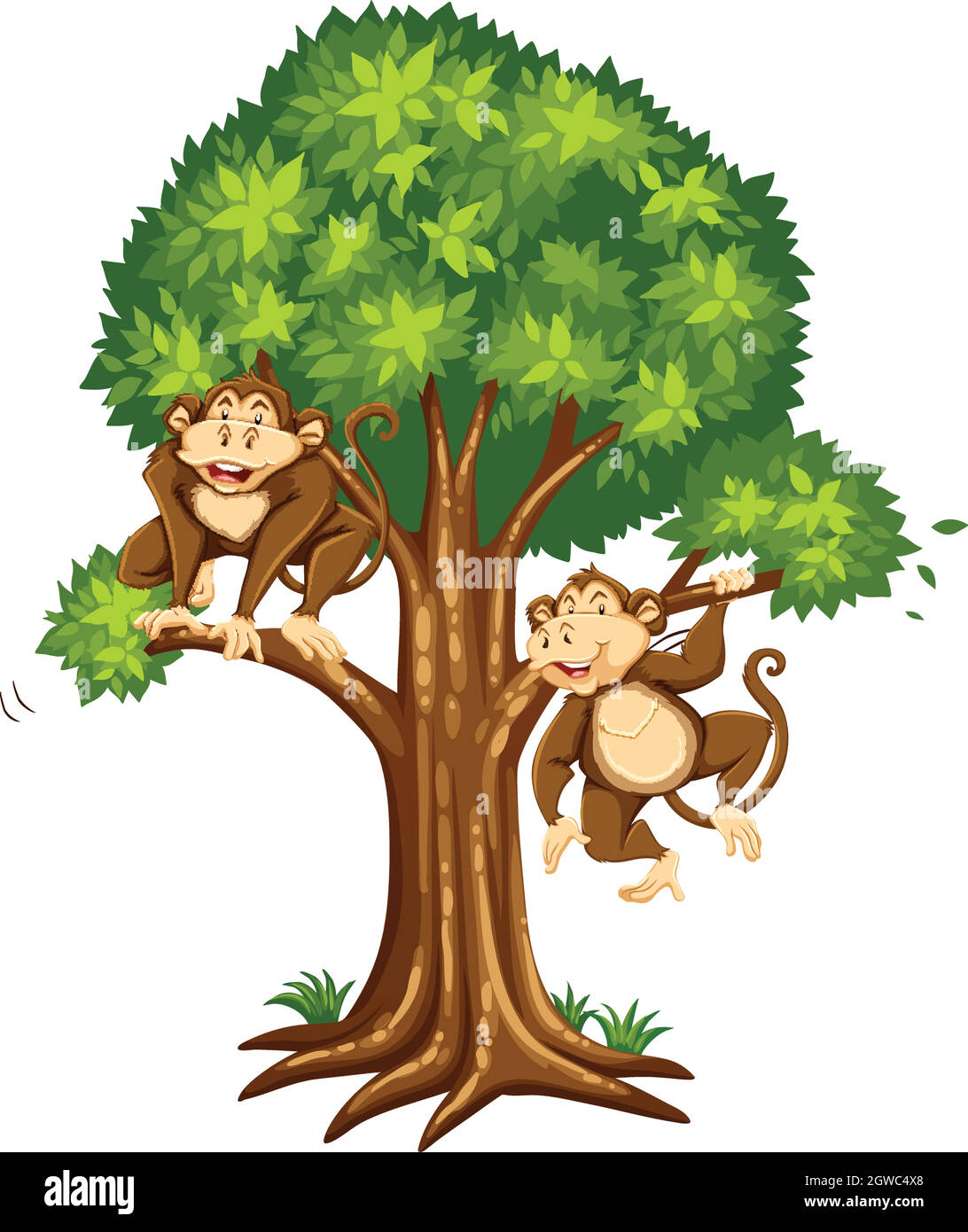 Two monkeys on the tree Stock Vector Image & Art - Alamy