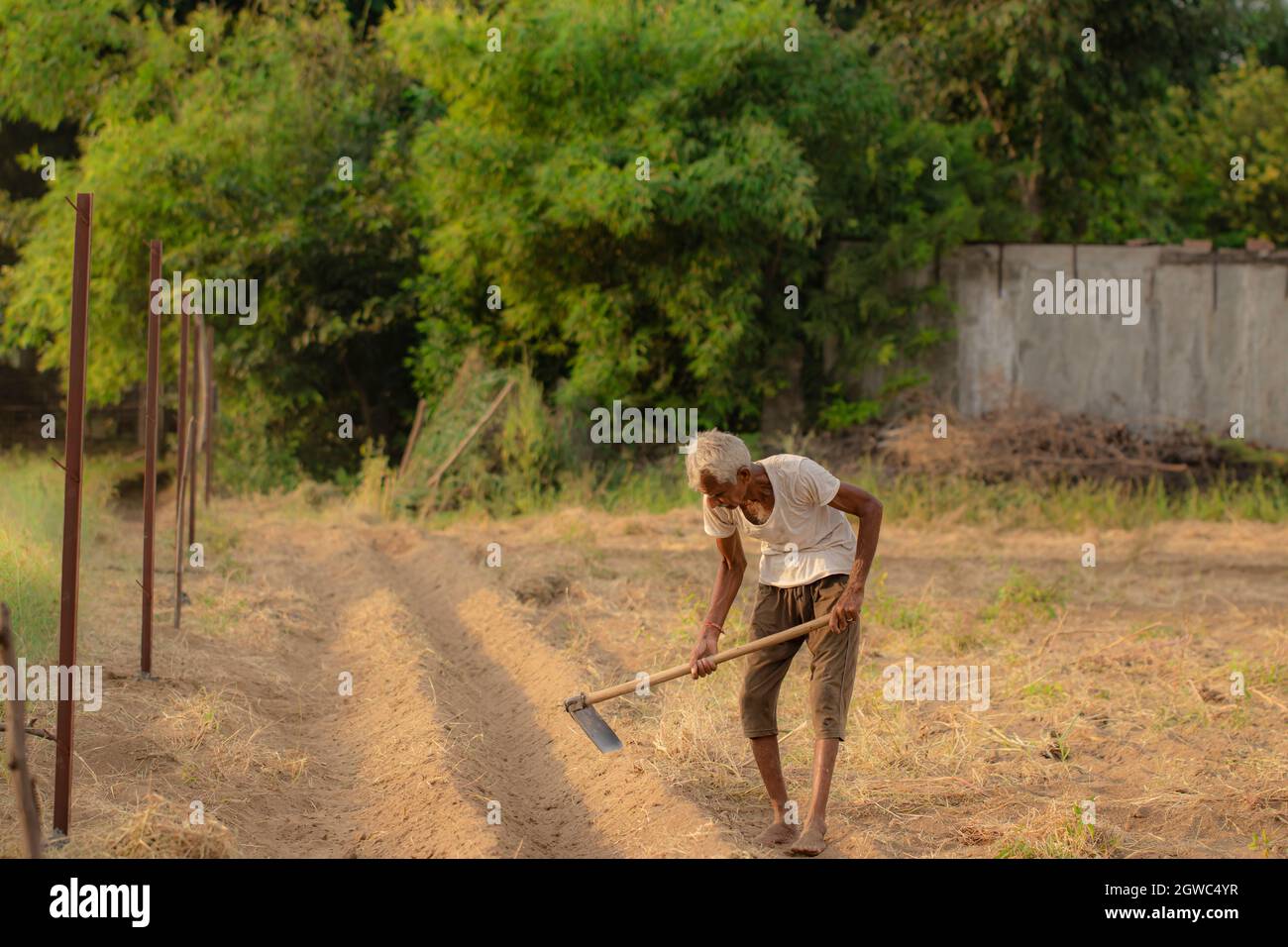 Close-up of An Indian-origin senior farmer prepares a raw drain with ...