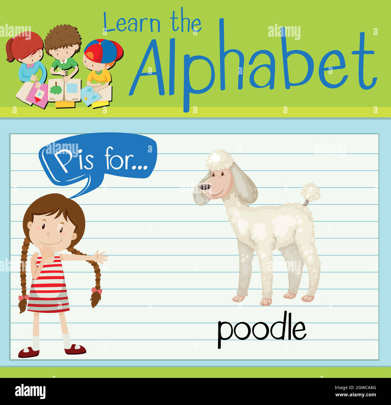Flashcard letter P is for poodle Stock Vector Image & Art - Alamy