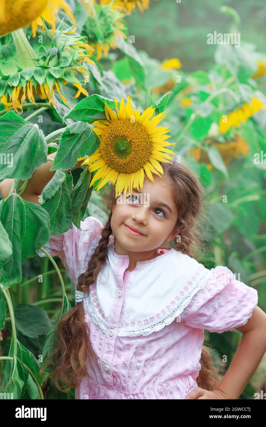 Cute little girl playing with sunflower in summer field in vintage dress outfit Stock Photo