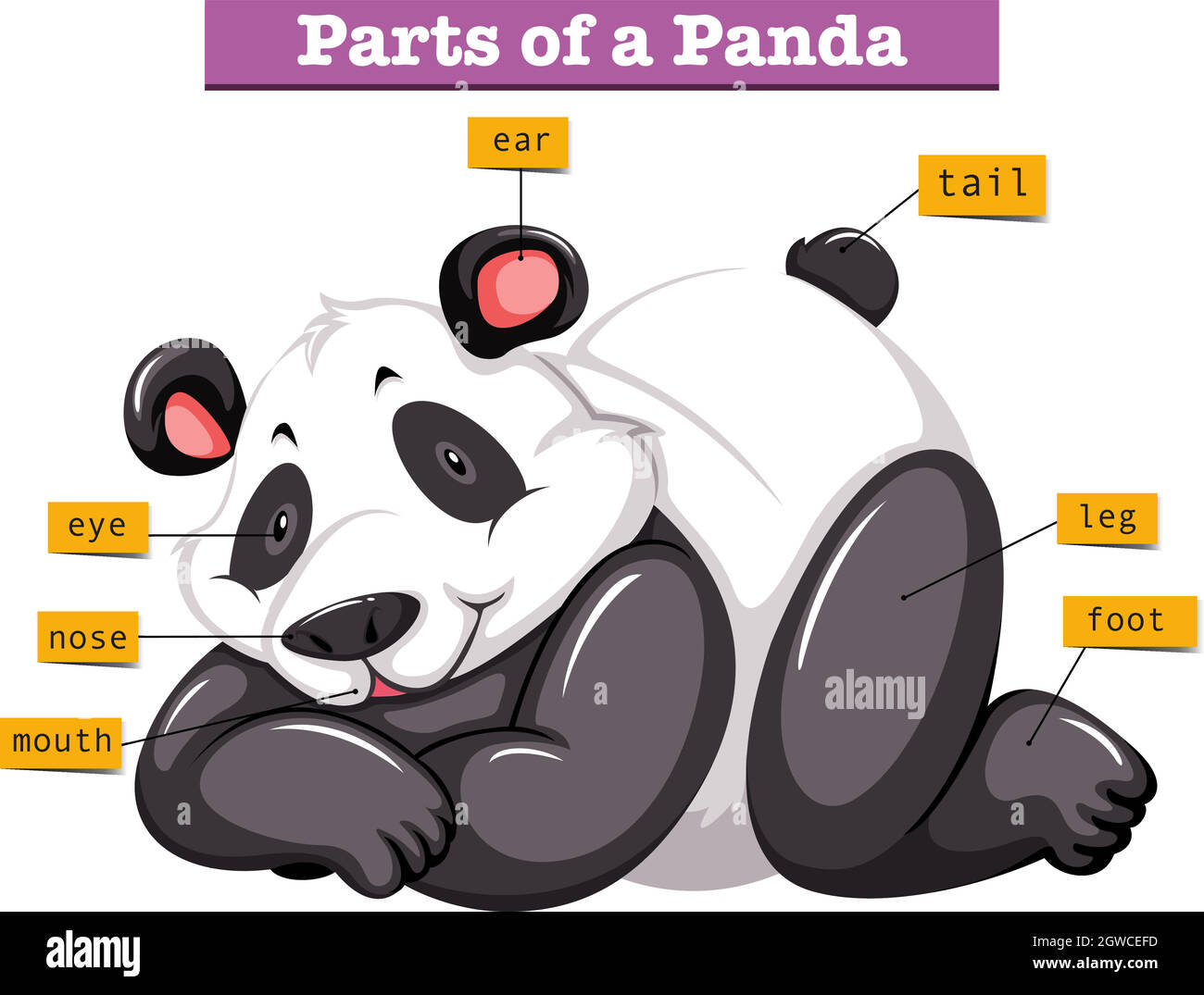 Panda and different parts of the body Stock Vector