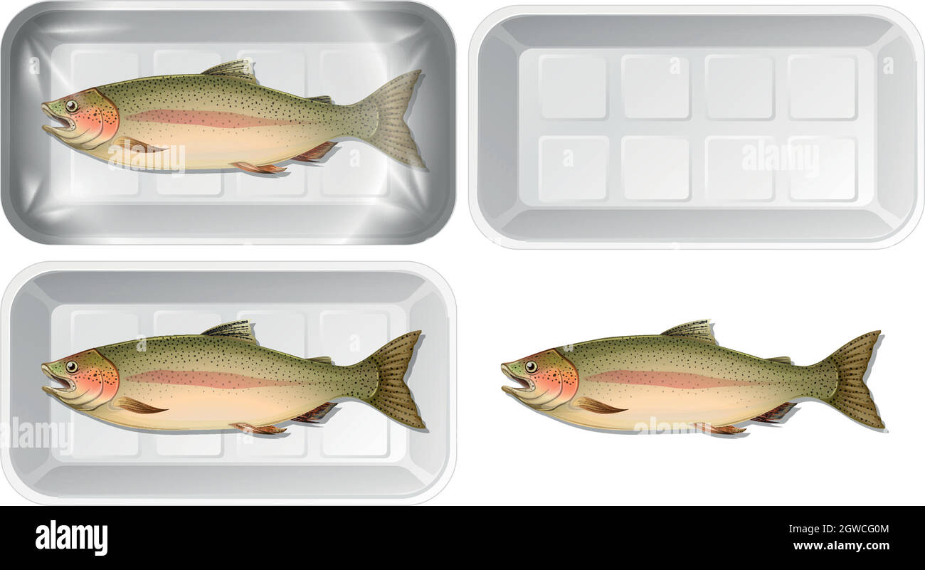 Set of fish in packaging Stock Vector Image & Art Alamy