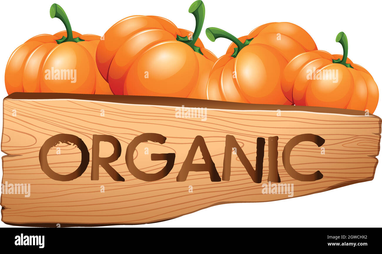 Organic sign with pumpkins Stock Vector