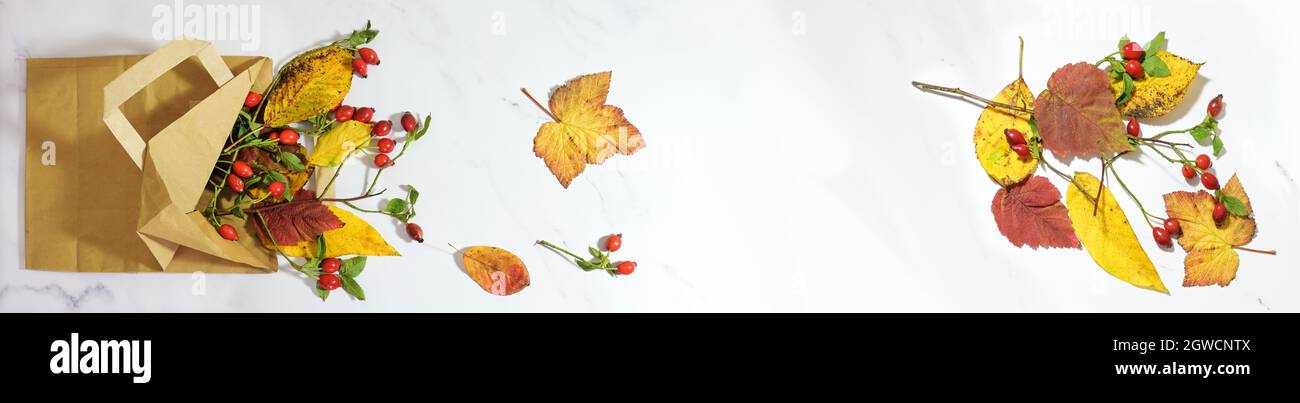 colorful autumn leaves and rose hips in a shopping paper bag on a light gray marble background, wide panoramic format, seasonal concept for sustainabl Stock Photo