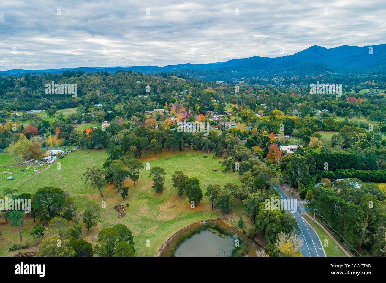 Aerial View Of Houses Surrounded By Trees And Mountains. Healesville