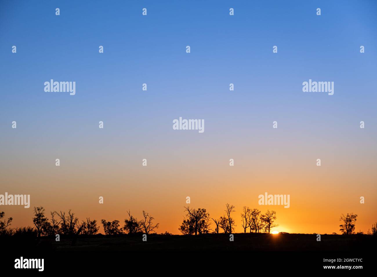 Sunset Over Trees With Smooth Color Gradients From Blue To Orange And Copy Space Stock Photo