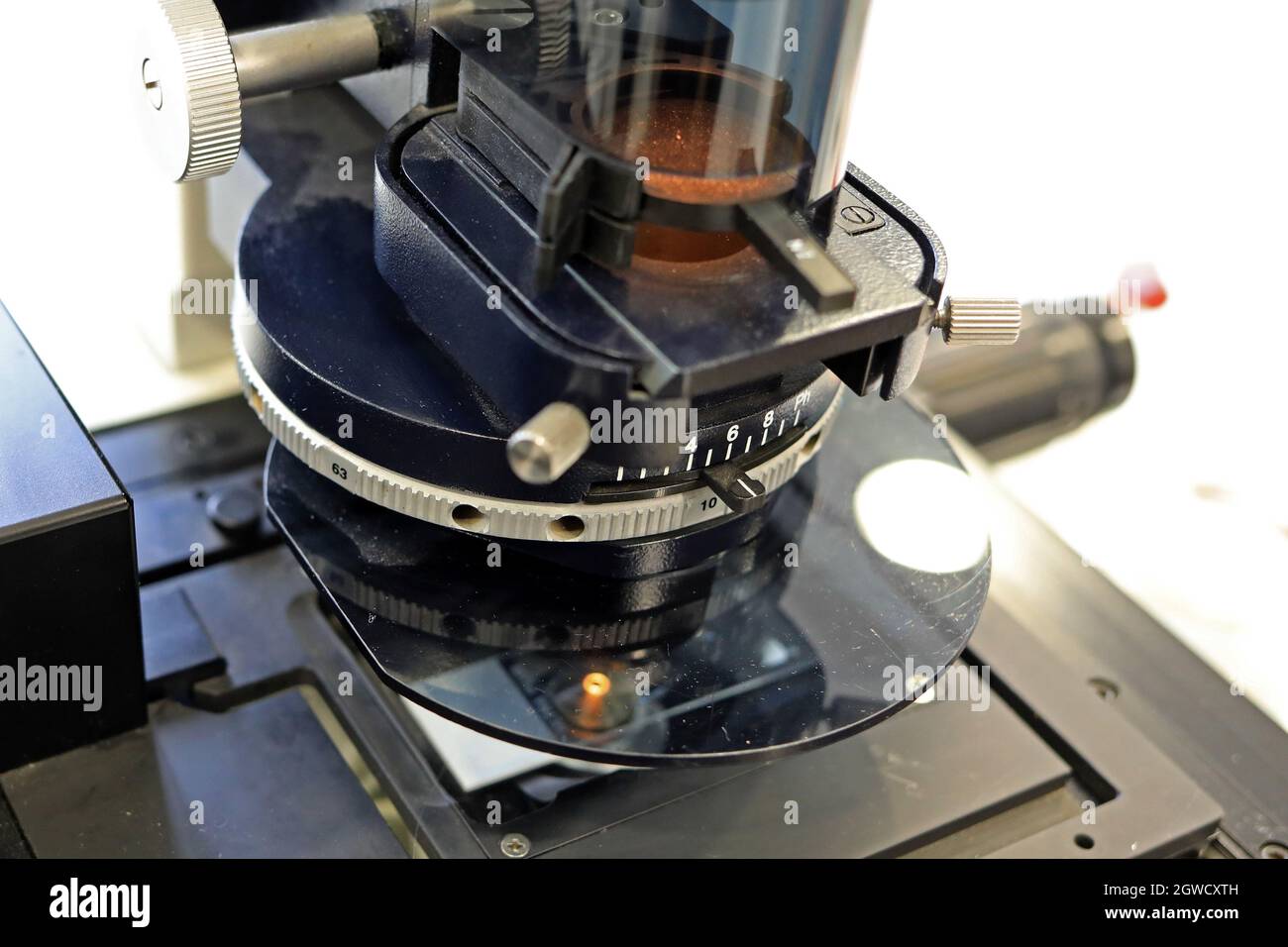 Lame de microscope préparée Banque de photographies et d'images à haute  résolution - Alamy