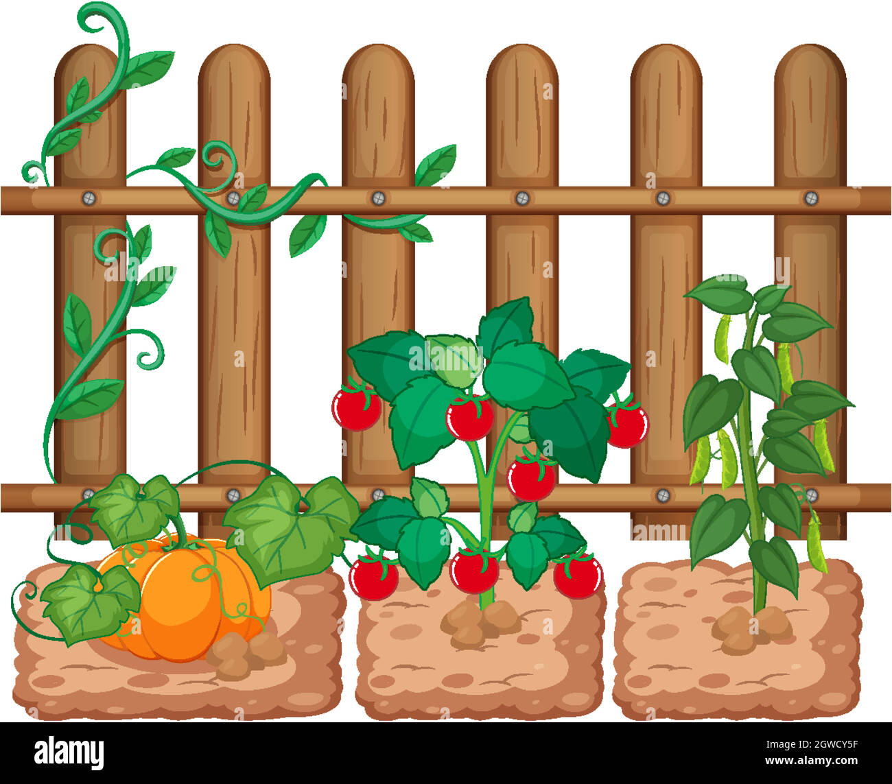 Crops growing white background Stock Vector Images - Alamy