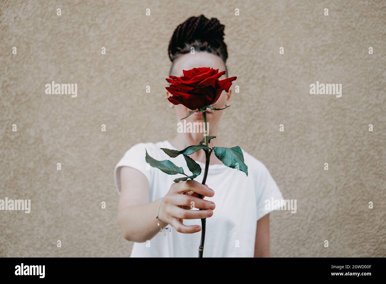 Flower Power, Signs Of Peace, Stop Violence, Peaceful Protest Symbol