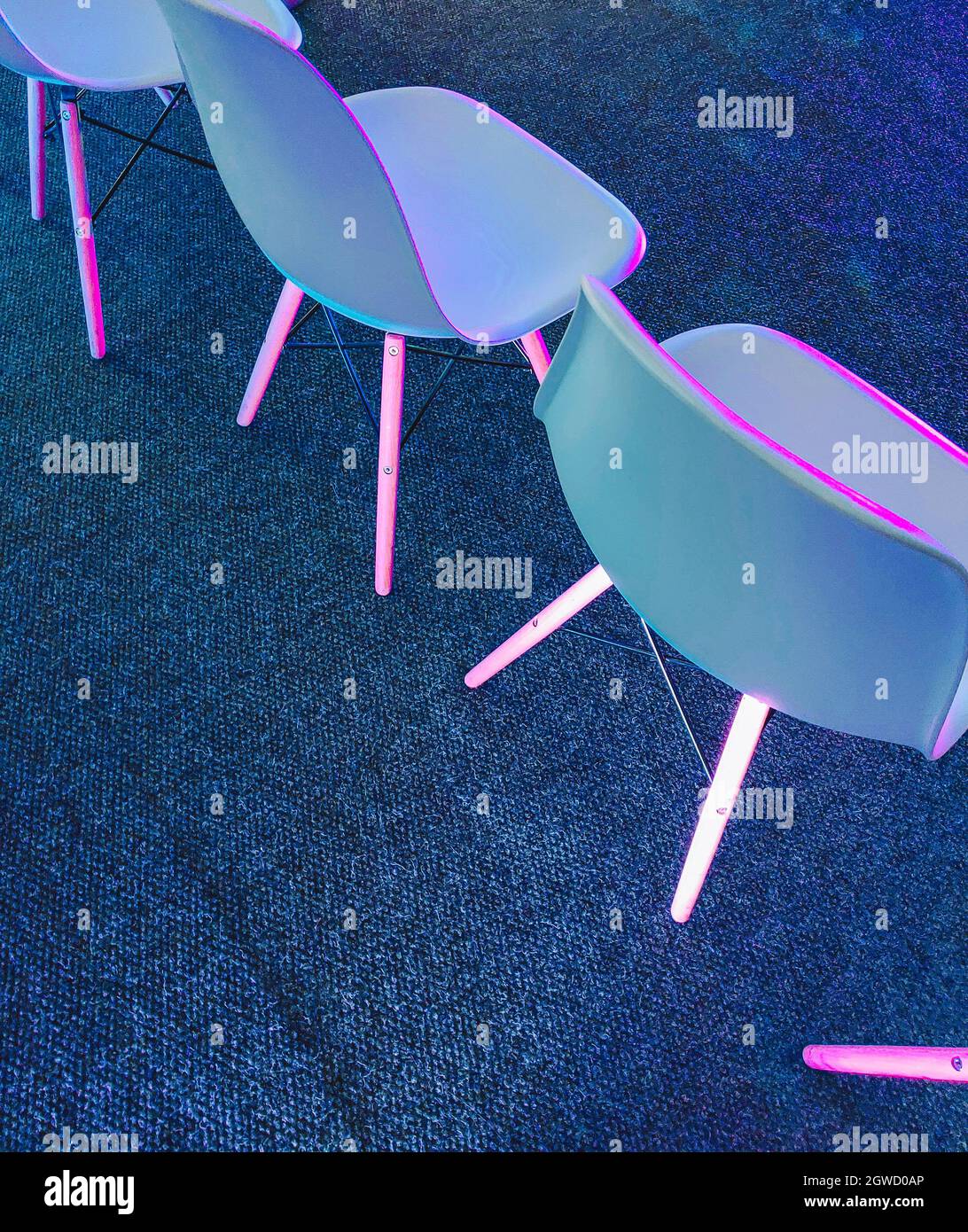 White Chairs In The Neon Light In The Club Stock Photo