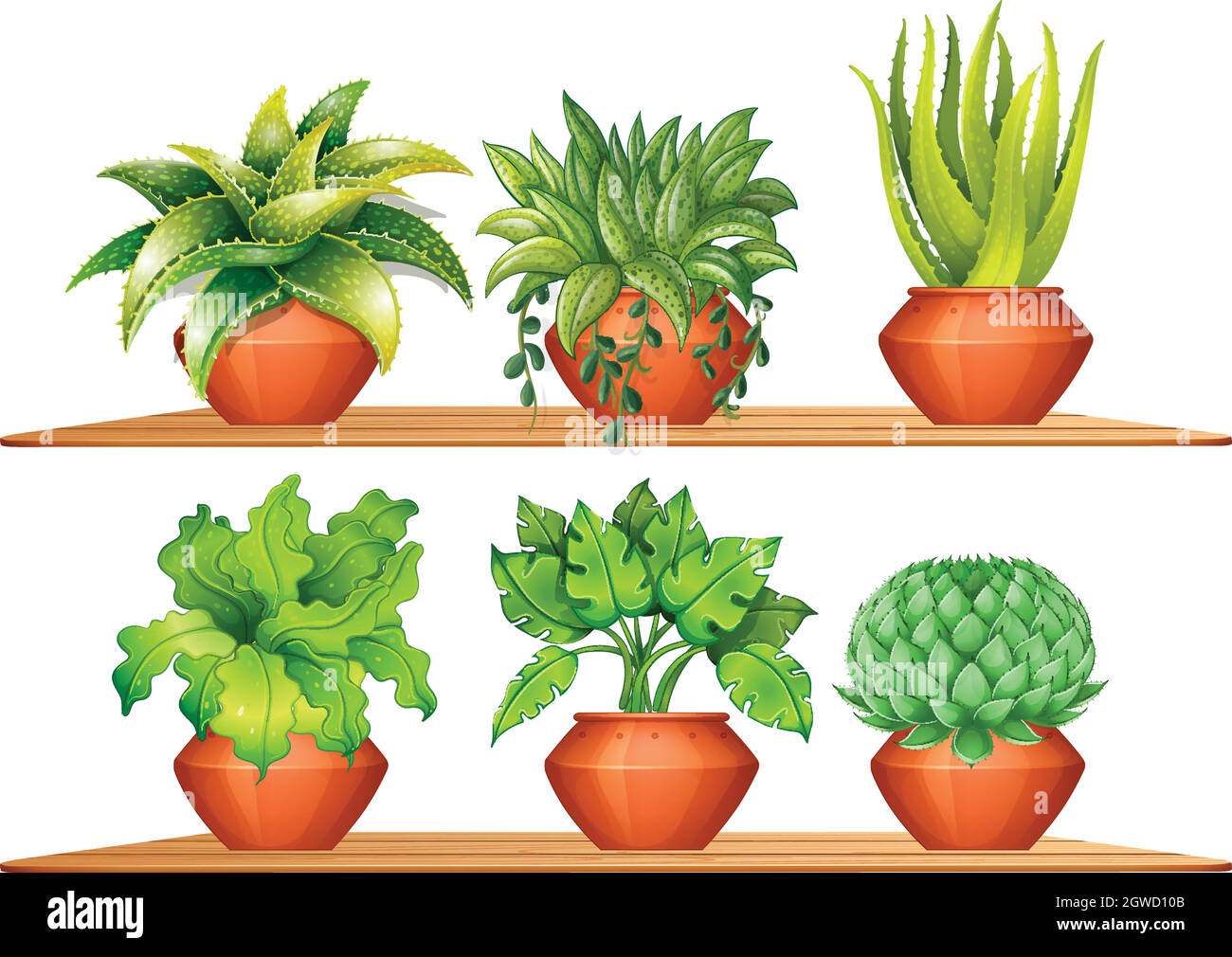 Different types of plants in pots Stock Vector Image & Art Alamy