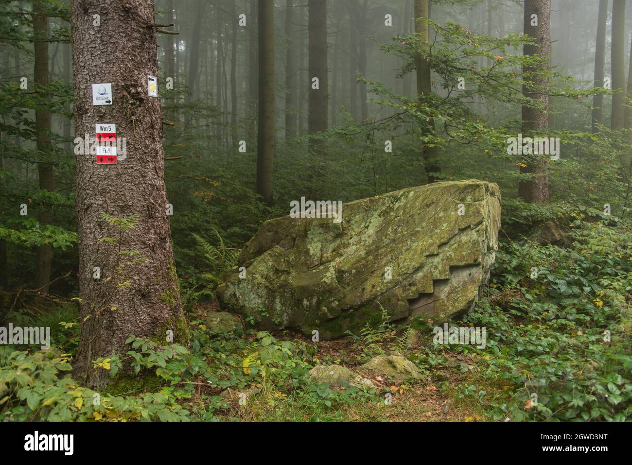 Dinosaur head: a fantastically formed rock near Goldsteig hiking-trail Stock Photo