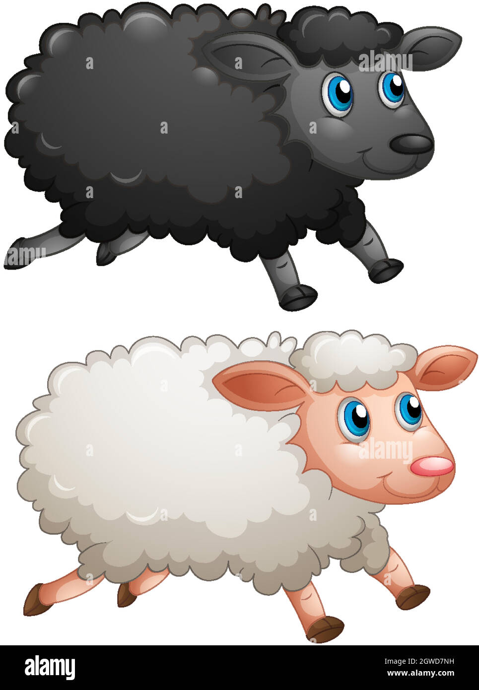 Black sheep and white sheep on white background Stock Vector