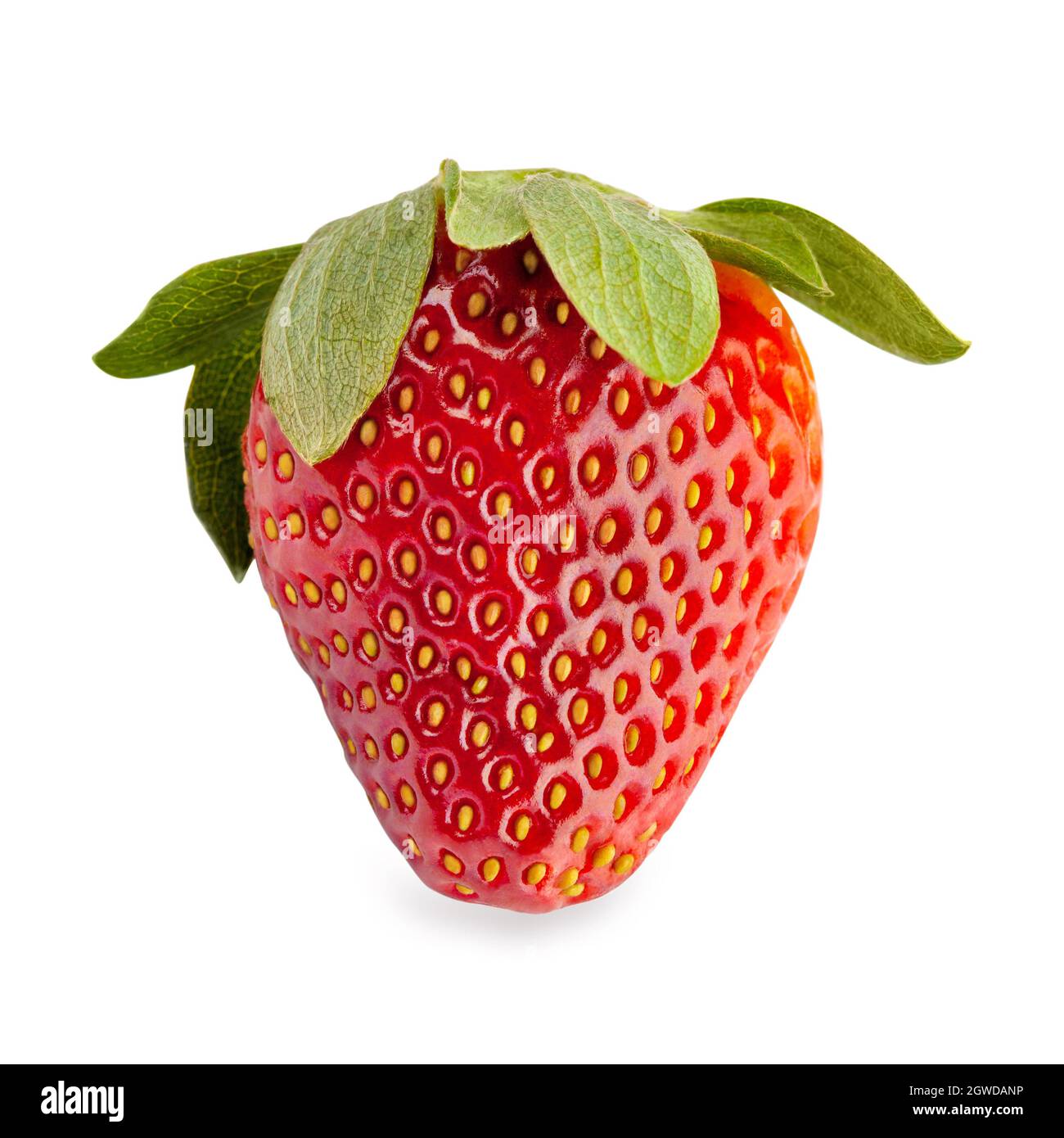 Perfect Strawberry Isolated On White With Clipping Path Stock Photo