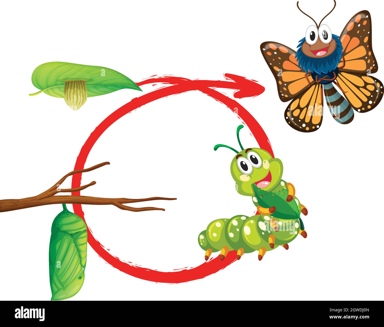 Life cycle of monarch butterfly Stock Vector
