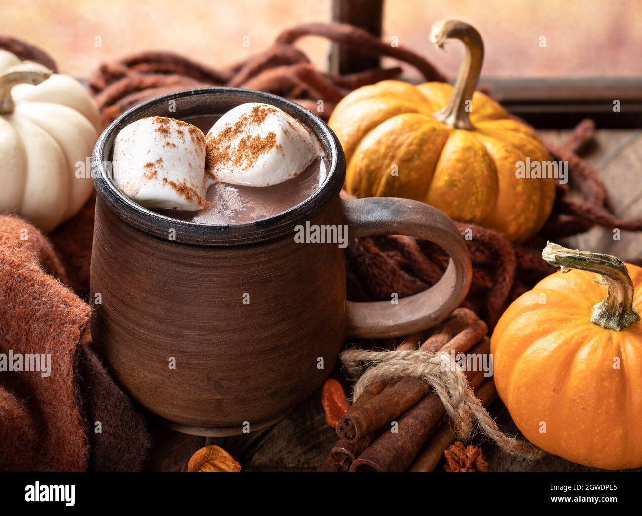 Closeup of a cup of hot chocolate with marshmallows and pumpkins on a ...