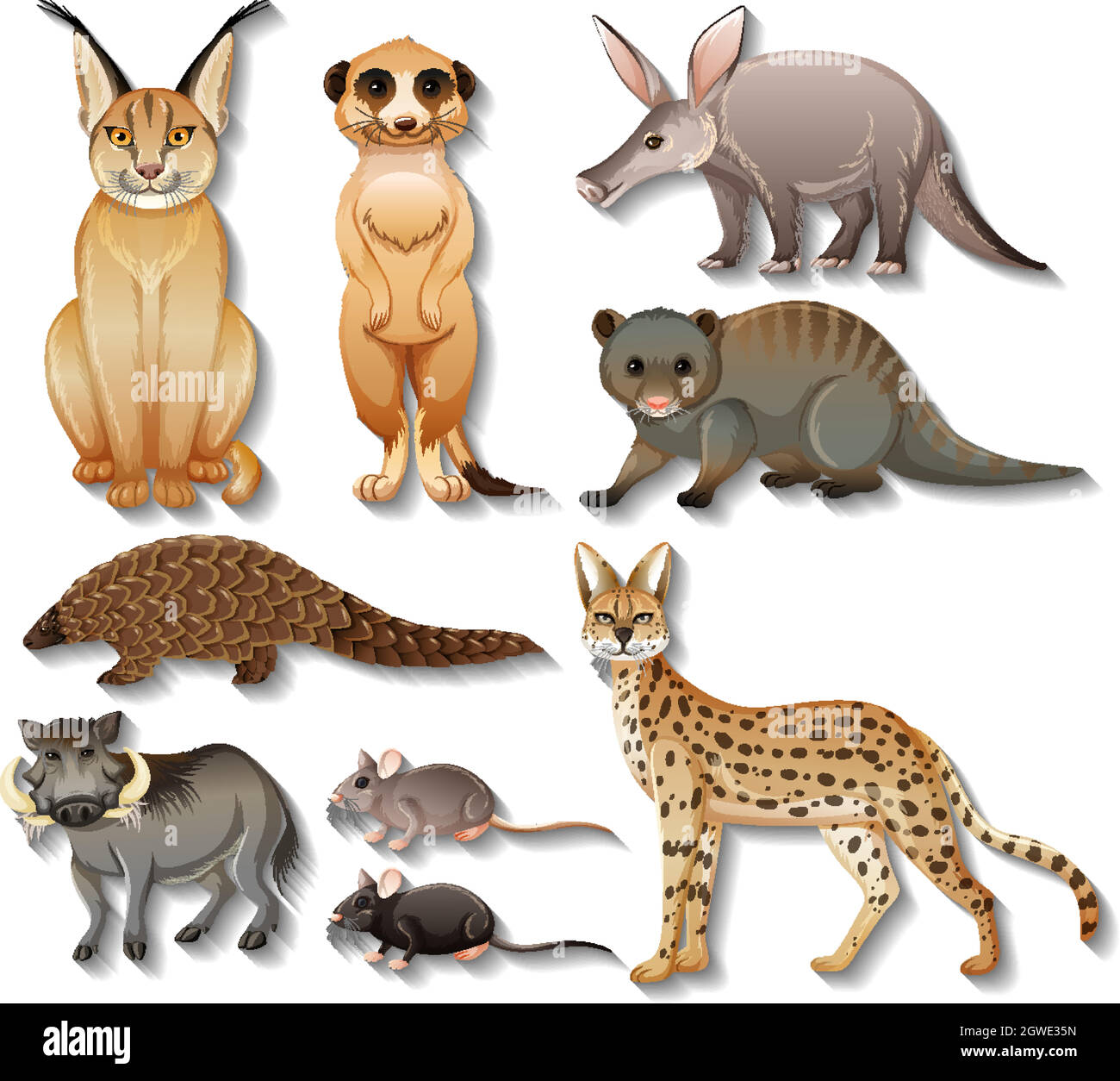 Set of isolated wild african animals on white background Stock Vector