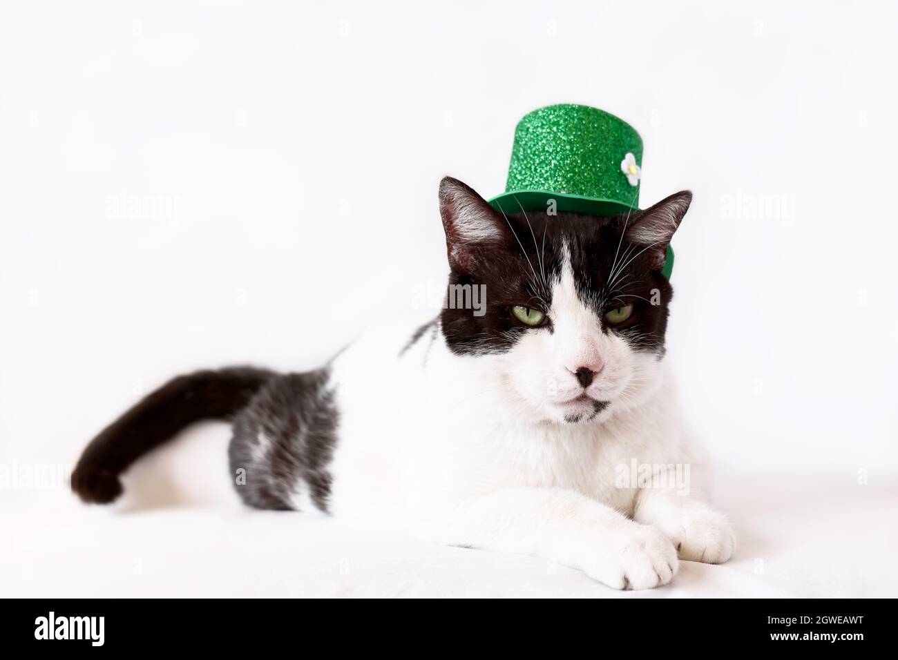 Irish Holiday Stock Photo 