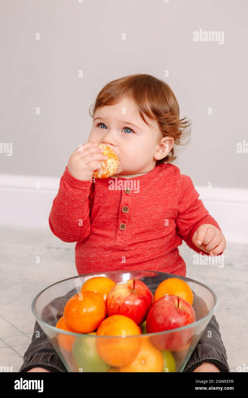 Cute Adorable Caucasian Baby Boy Eating Citrus Fruits. Finny Child