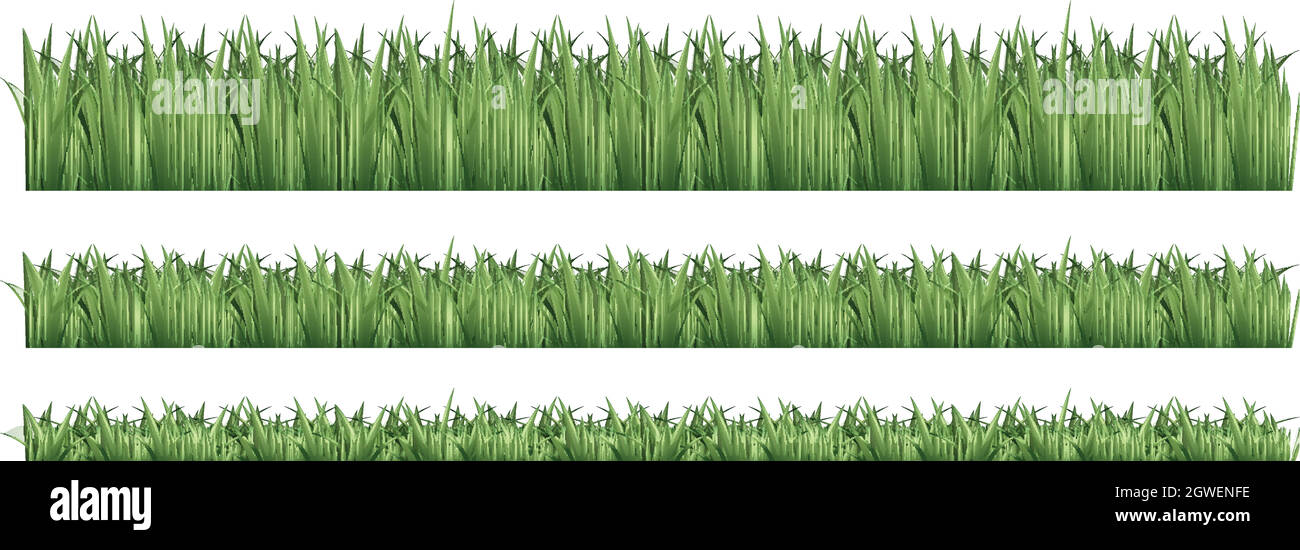 Seamless background for green grass Stock Vector Image & Art - Alamy