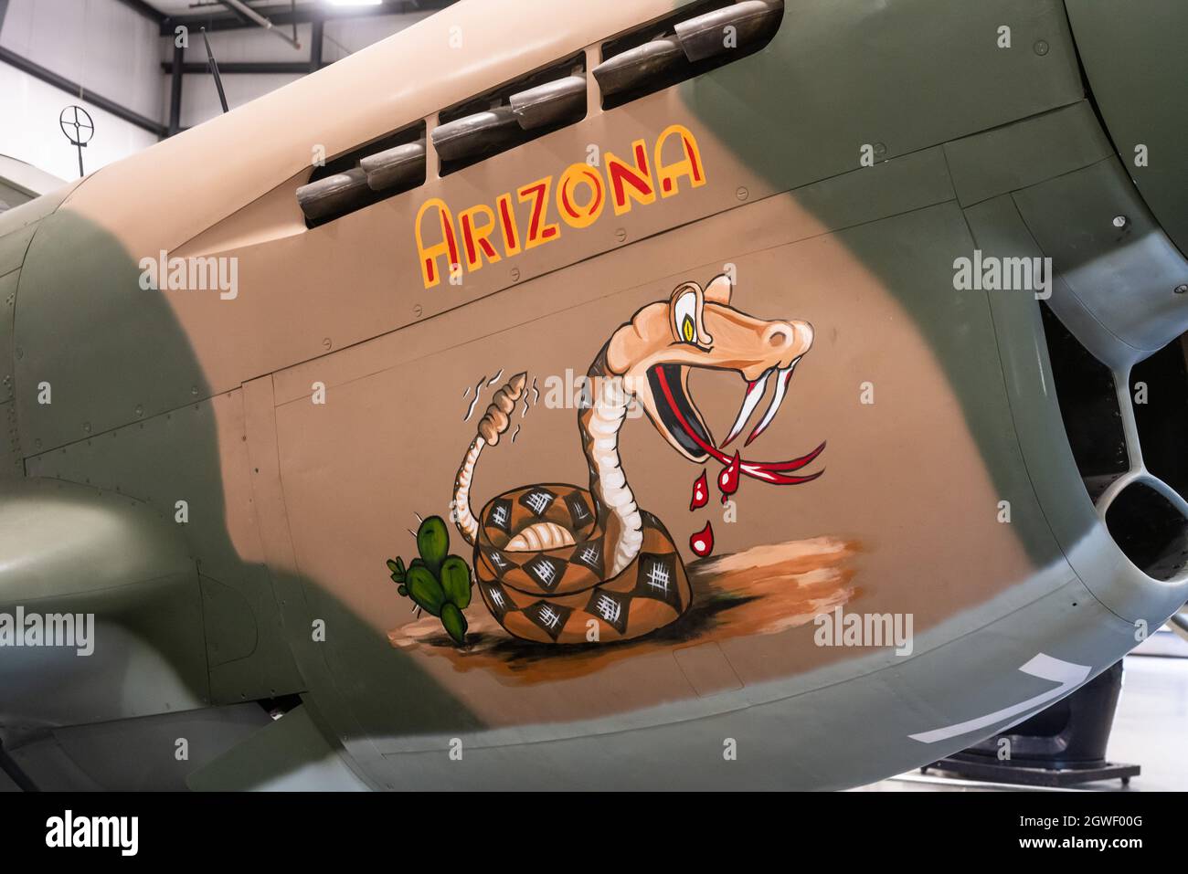 Nose art on a  Curtiss P-40E Warhawk U.S. Army Air Forces multi-role fighter in World War II.  Pima Air & Space Museum, Tucson, Arizona. Stock Photo
