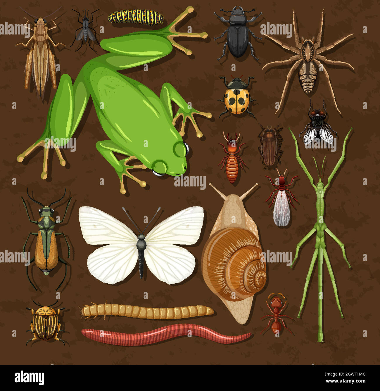 Set of different insects on wooden wallpaper background Stock Vector ...