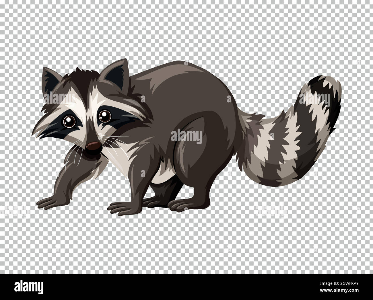 Fat Raccoon Invisible Background Wild raccoon on transparent background Stock Vector Image & Art - Alamy