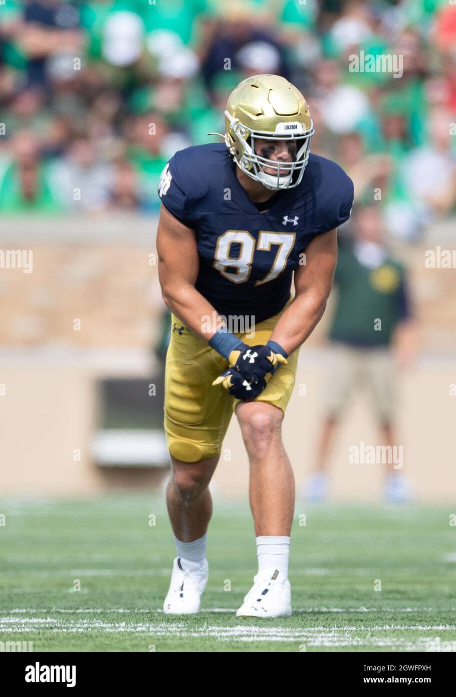 Michael mayer notre dame hires stock photography and images Alamy