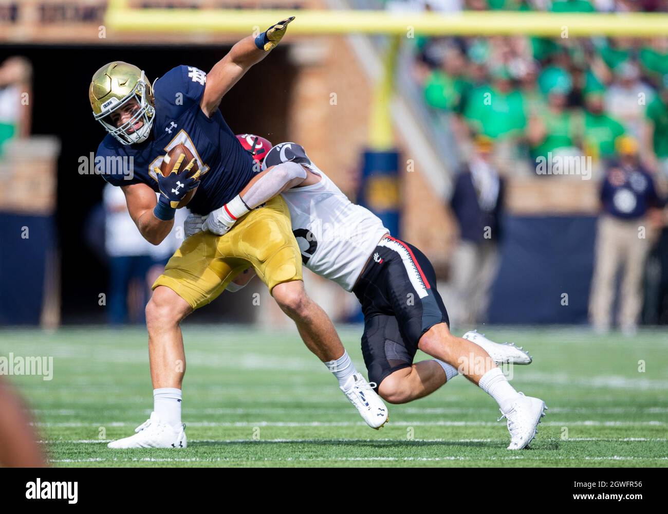 Michael mayer notre hires stock photography and images Alamy